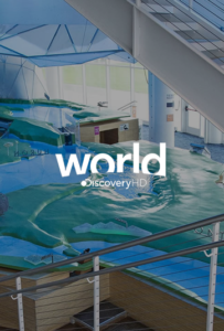 Discovery World Online